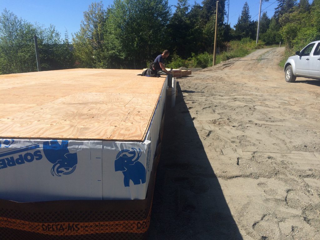 roof plywood